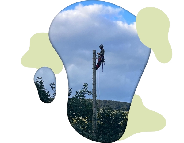 Notfallservice in Hirzenhain